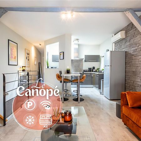 Le Canope - T3 Duplex, 2 Salles D'Eau, Hypercentre Castres  Esterno foto