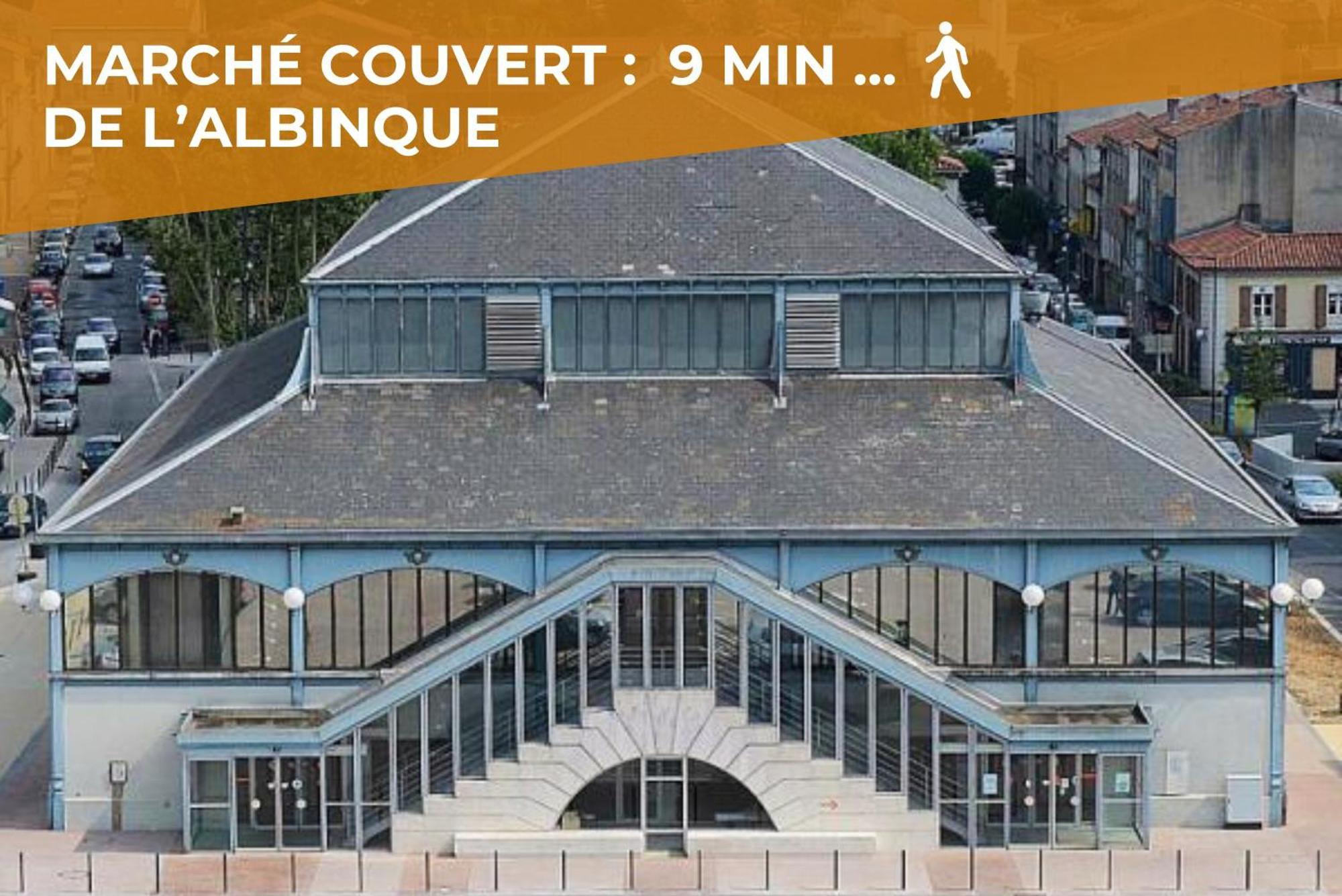 Le Canope - T3 Duplex, 2 Salles D'Eau, Hypercentre Castres  Esterno foto