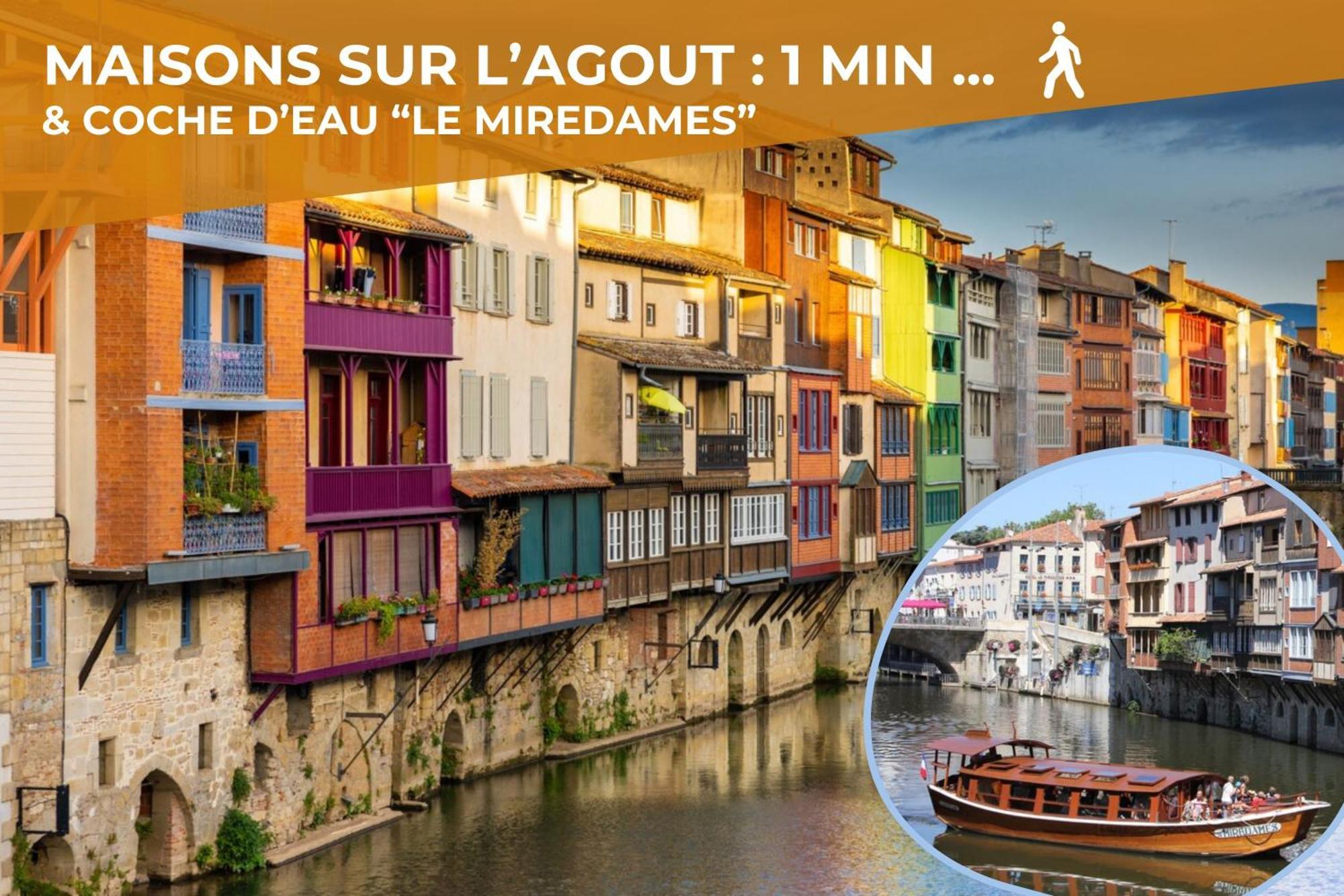 Le Canope - T3 Duplex, 2 Salles D'Eau, Hypercentre Castres  Esterno foto