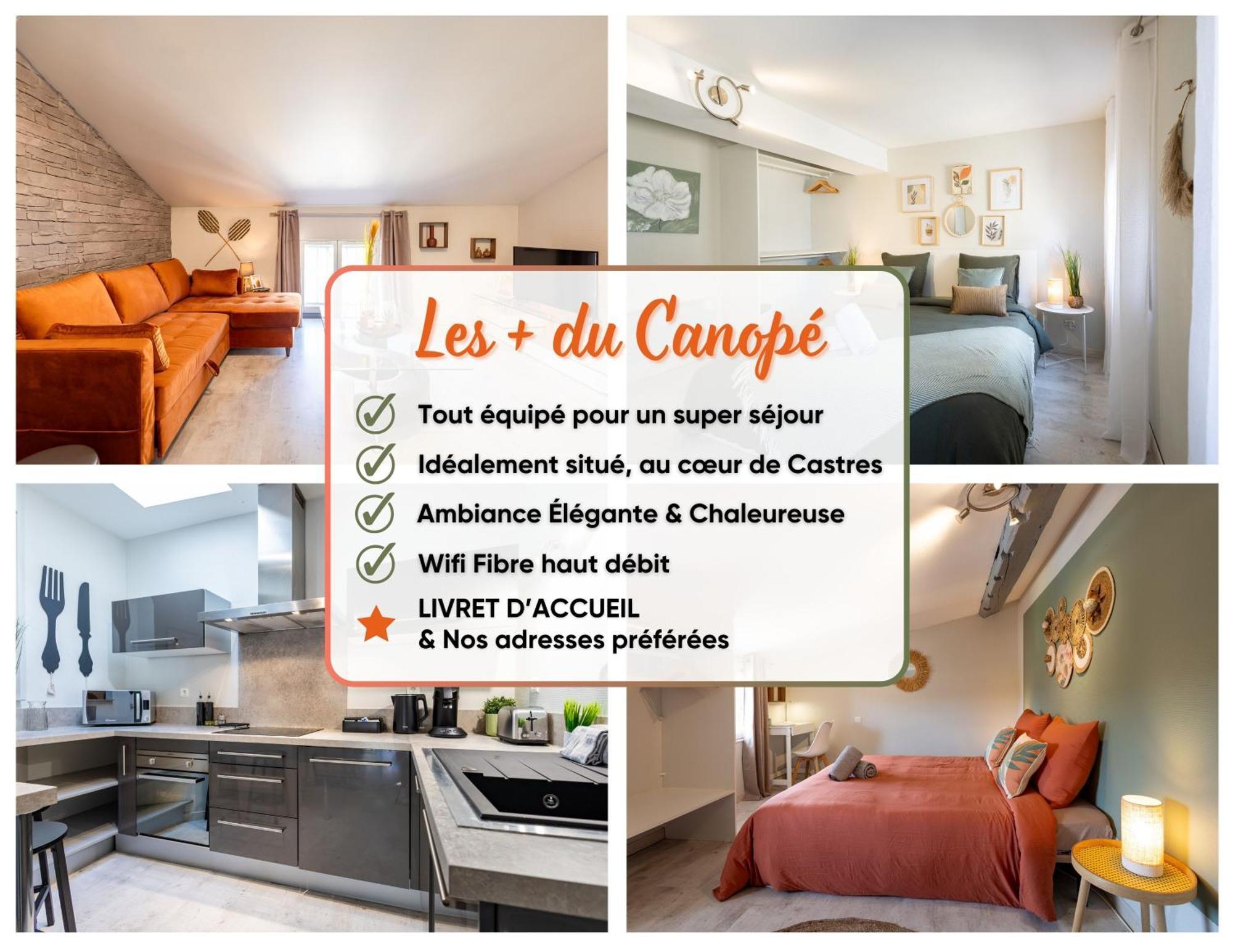 Le Canope - T3 Duplex, 2 Salles D'Eau, Hypercentre Castres  Esterno foto
