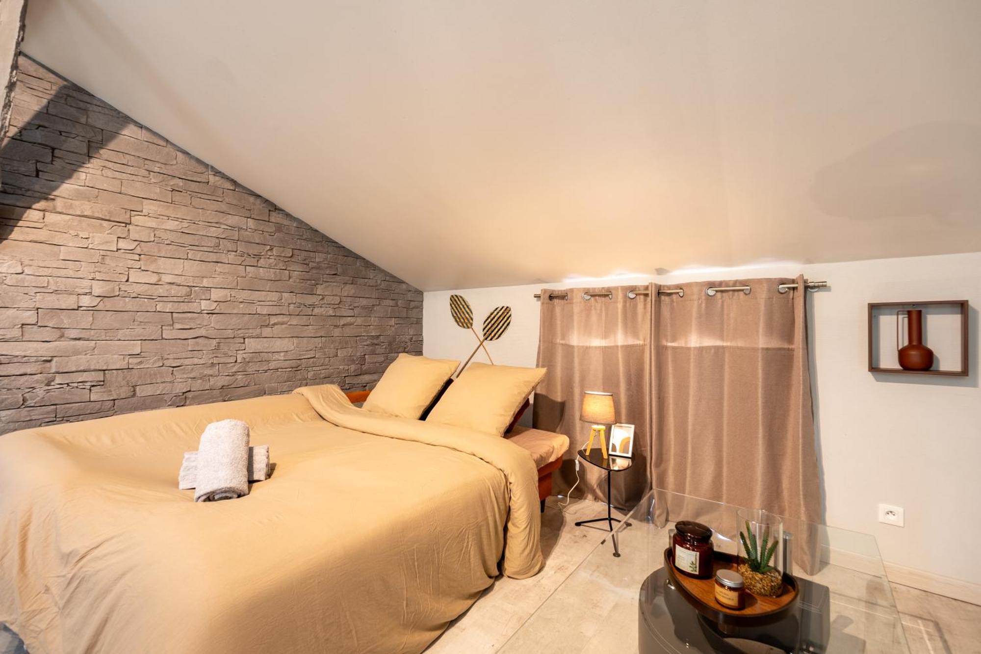Le Canope - T3 Duplex, 2 Salles D'Eau, Hypercentre Castres  Esterno foto