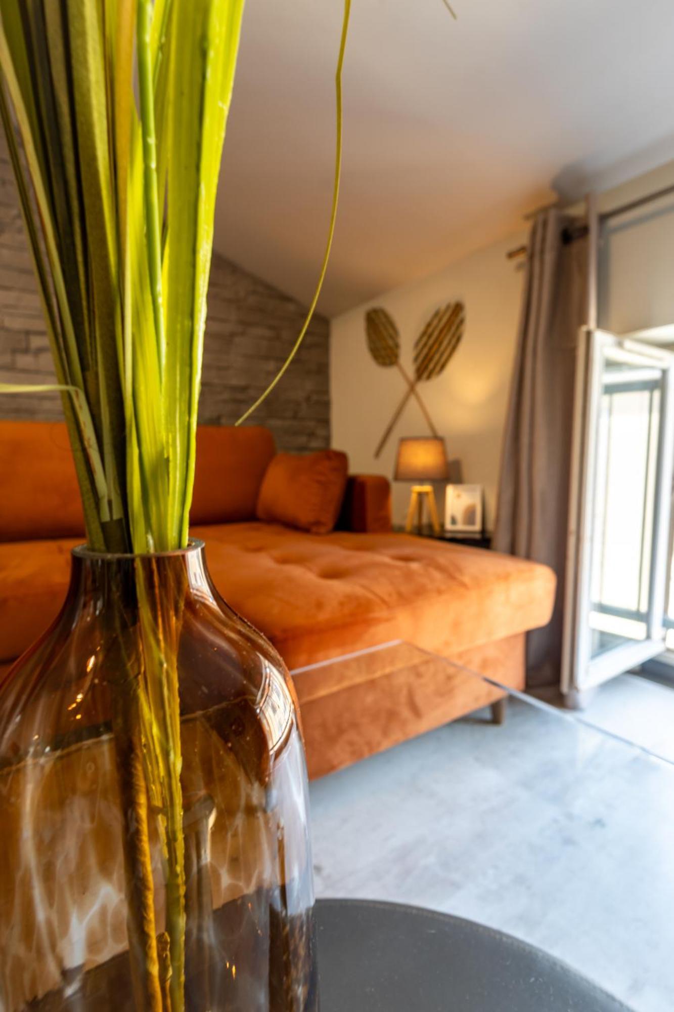 Le Canope - T3 Duplex, 2 Salles D'Eau, Hypercentre Castres  Esterno foto