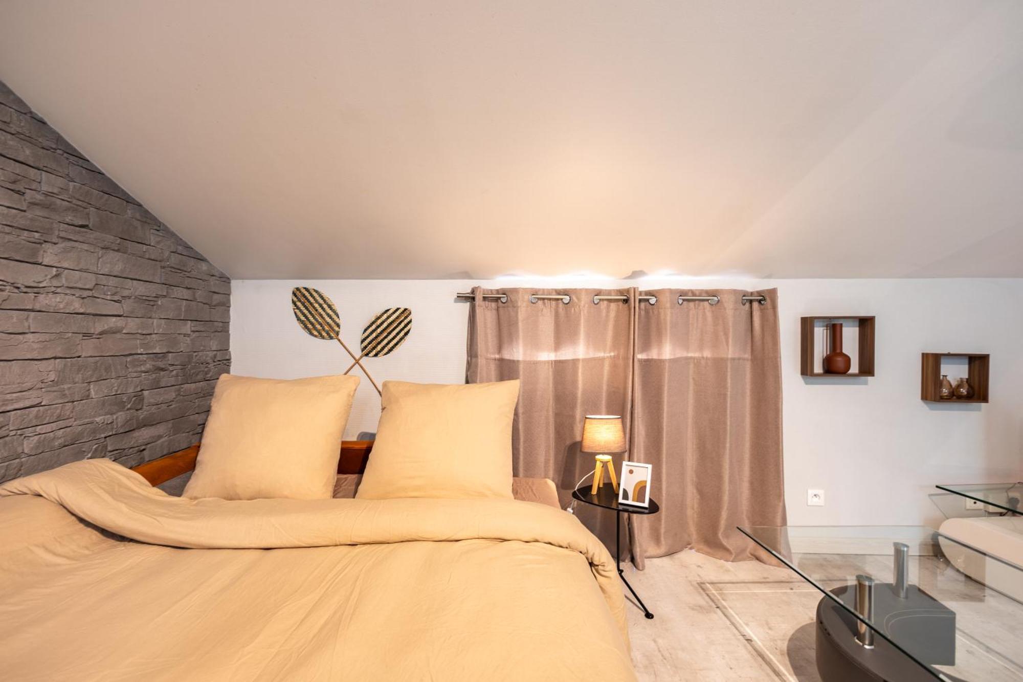Le Canope - T3 Duplex, 2 Salles D'Eau, Hypercentre Castres  Esterno foto