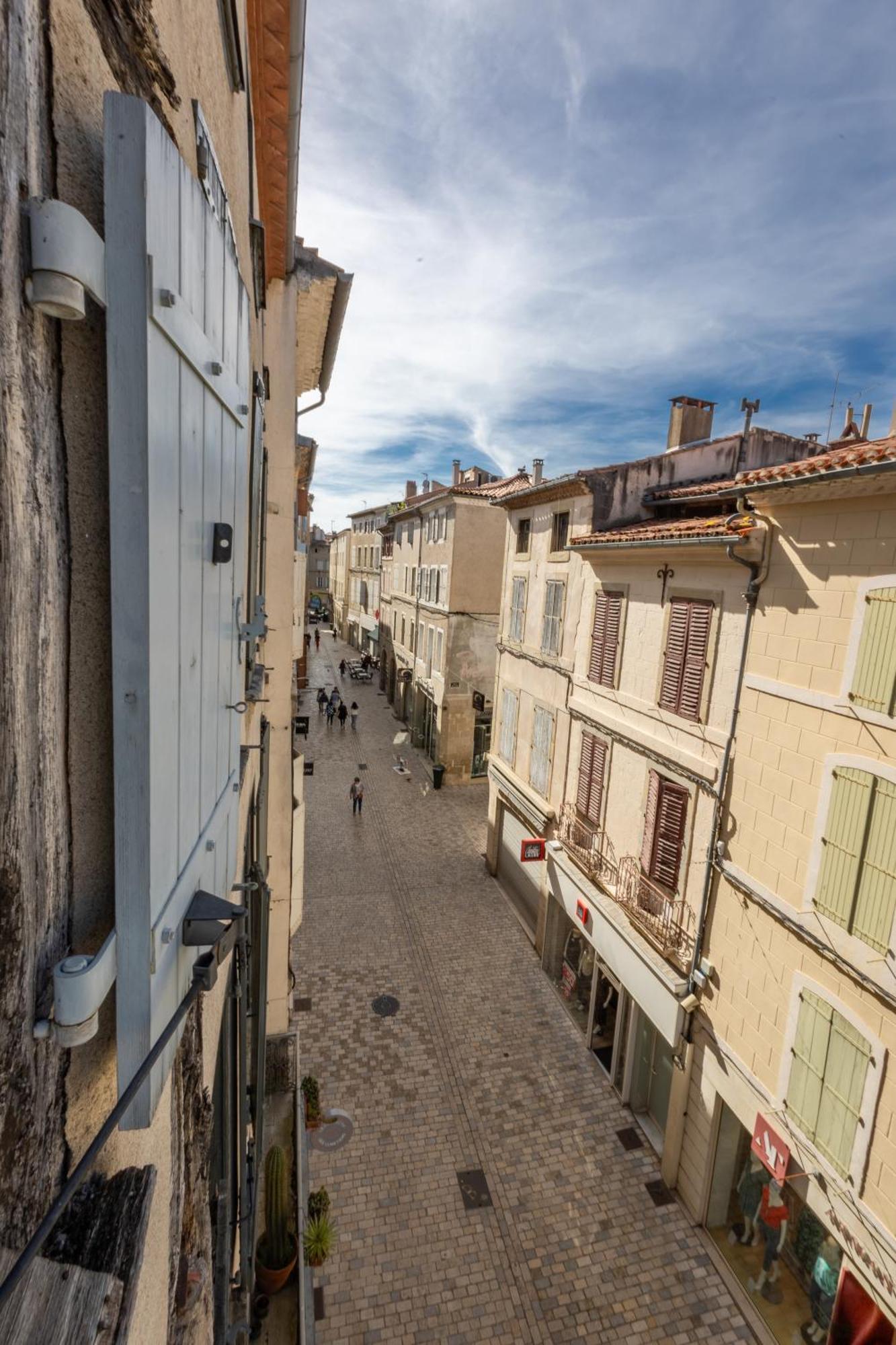 Le Canope - T3 Duplex, 2 Salles D'Eau, Hypercentre Castres  Esterno foto