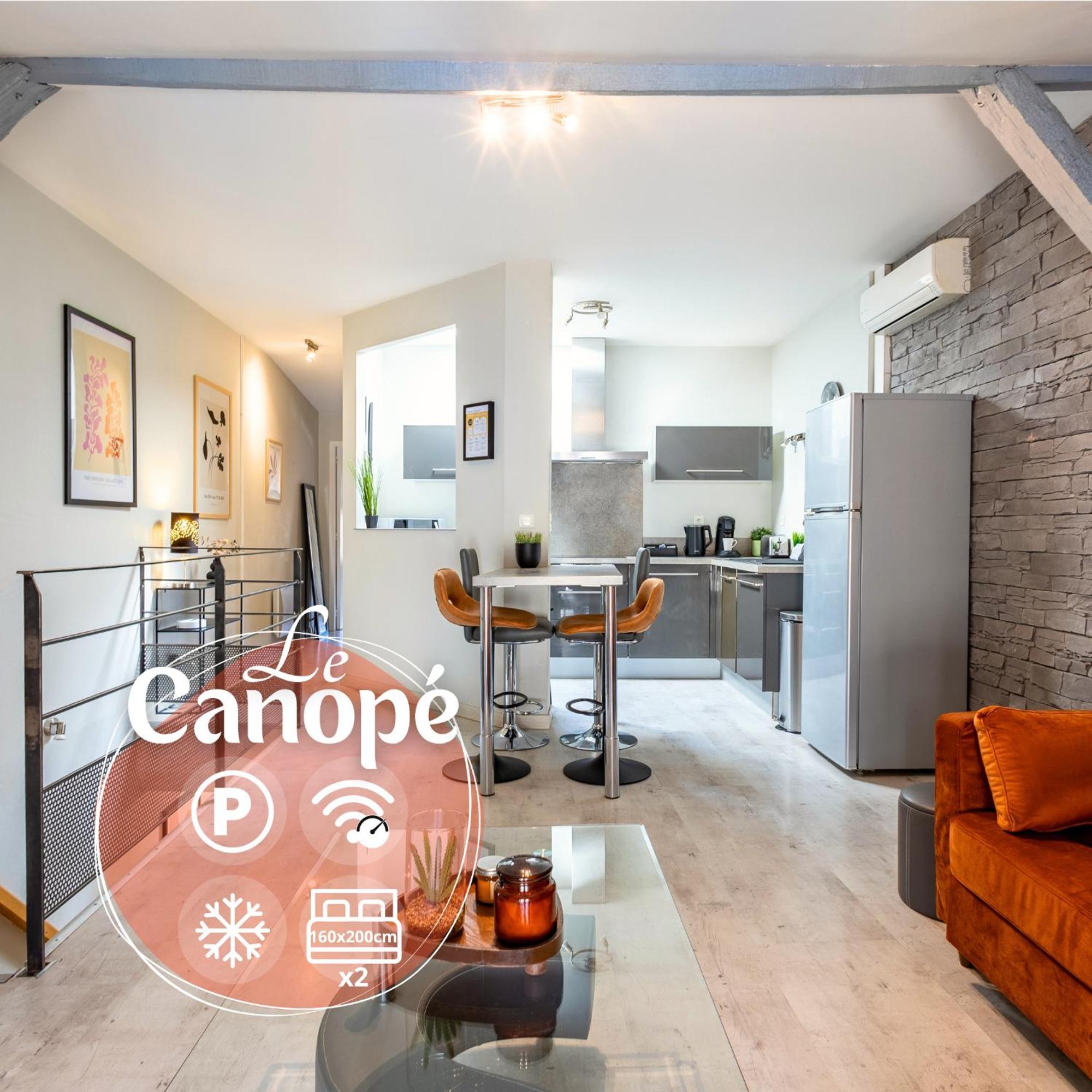 Le Canope - T3 Duplex, 2 Salles D'Eau, Hypercentre Castres  Esterno foto